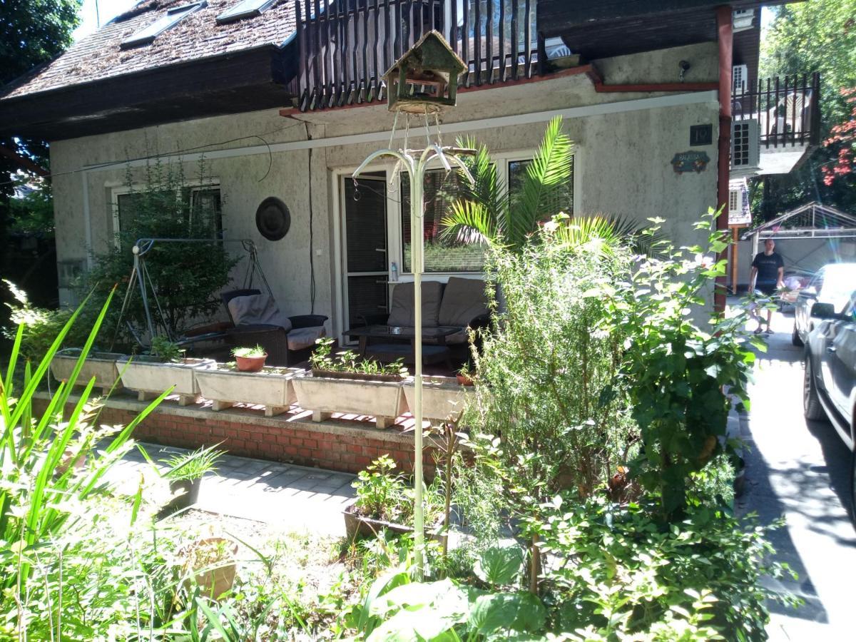שיופוק Balassa House מראה חיצוני תמונה