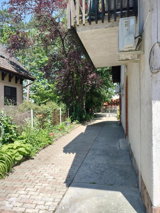 שיופוק Balassa House מראה חיצוני תמונה