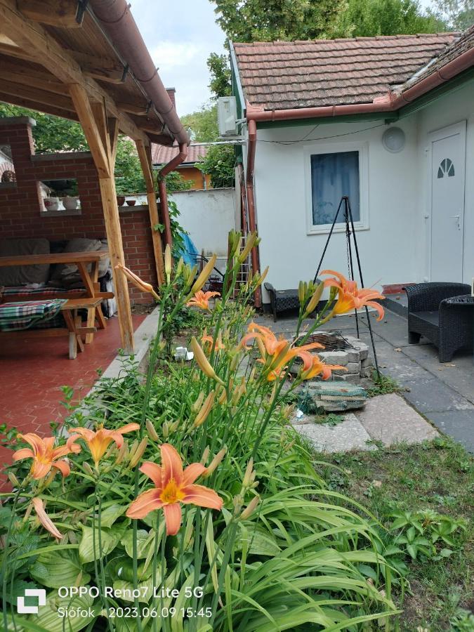 שיופוק Balassa House מראה חיצוני תמונה